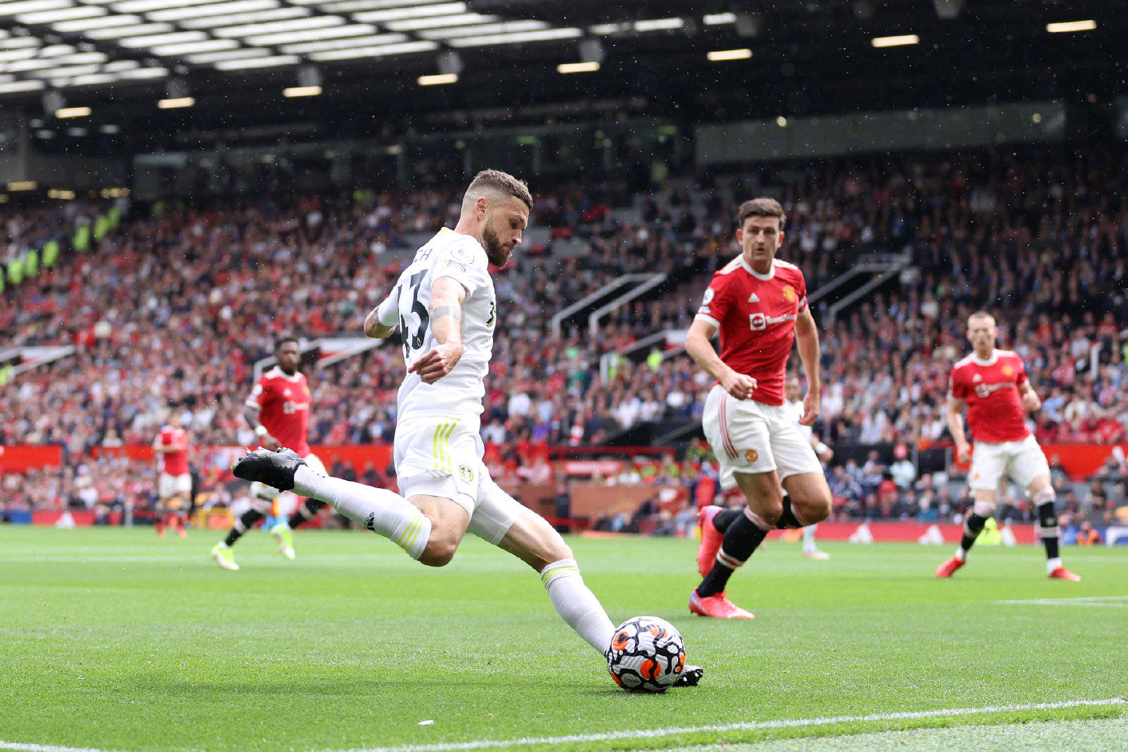 开拓了一片 开拓了一片